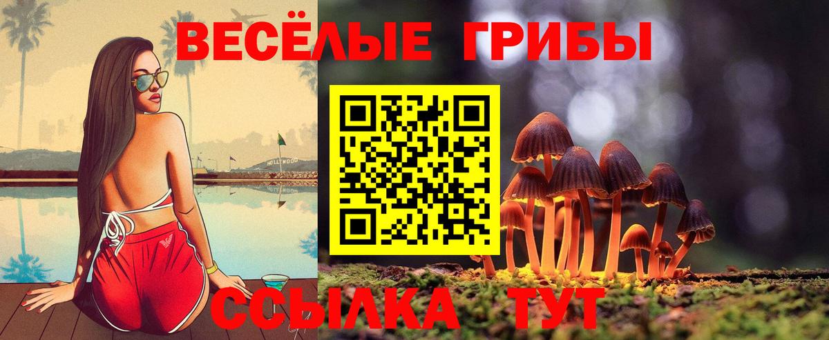 Россошь  Галлюциногенные грибы Magic Shrooms  Галлюциногенные грибы Magic Shrooms  Вход с VPN 